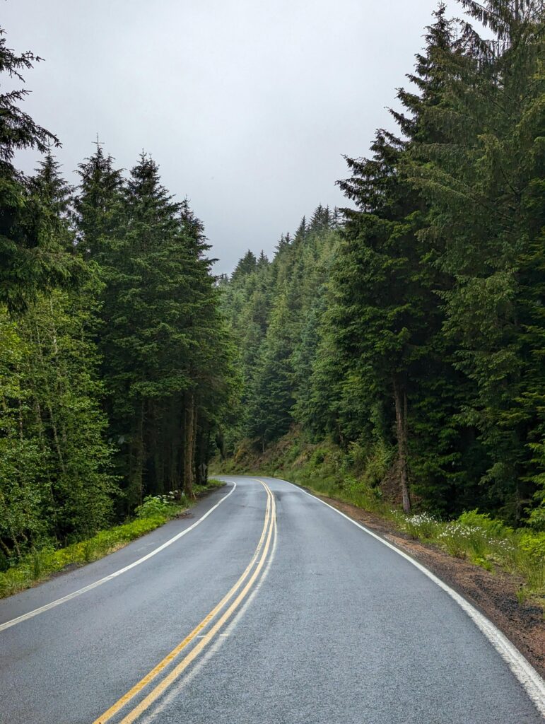 A serene, misty road leading through a lush, forested area in Sandlake, Oregon, capturing the essence of the Pacific Northwest.